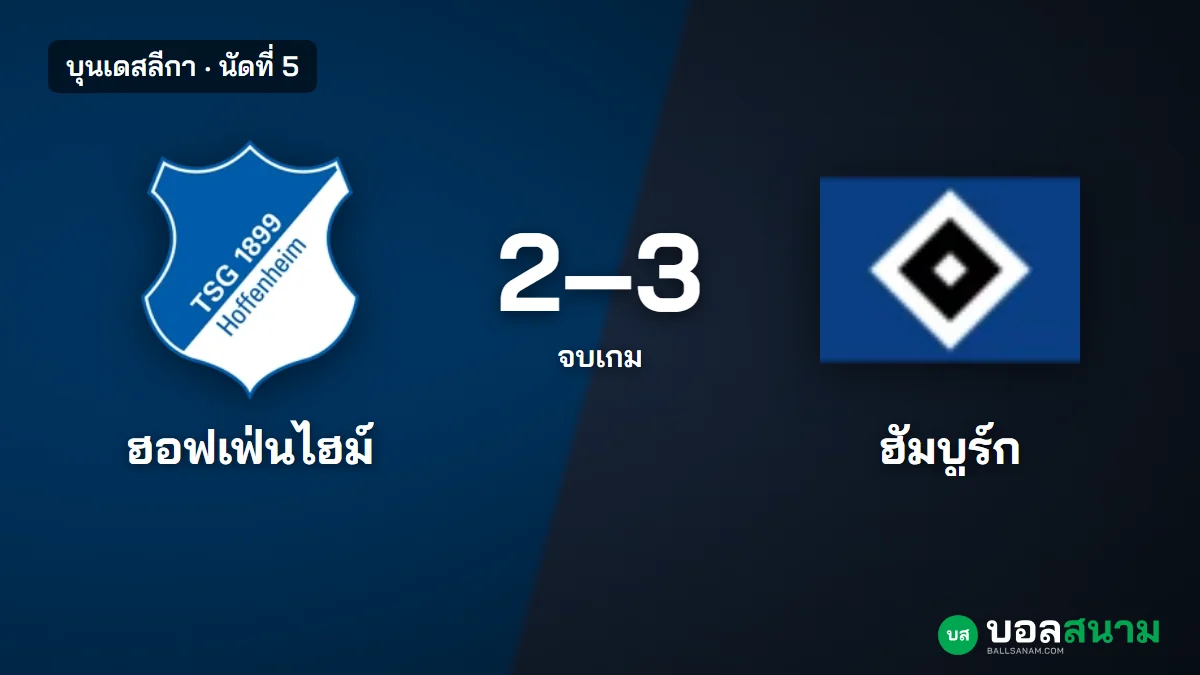 ภาพประกอบ: ฮอฟเฟ่นไฮม์ 2-3 ฮัมบูร์ก บุนเดสลีกา นัดที่ 5 สถิติหลังเกม